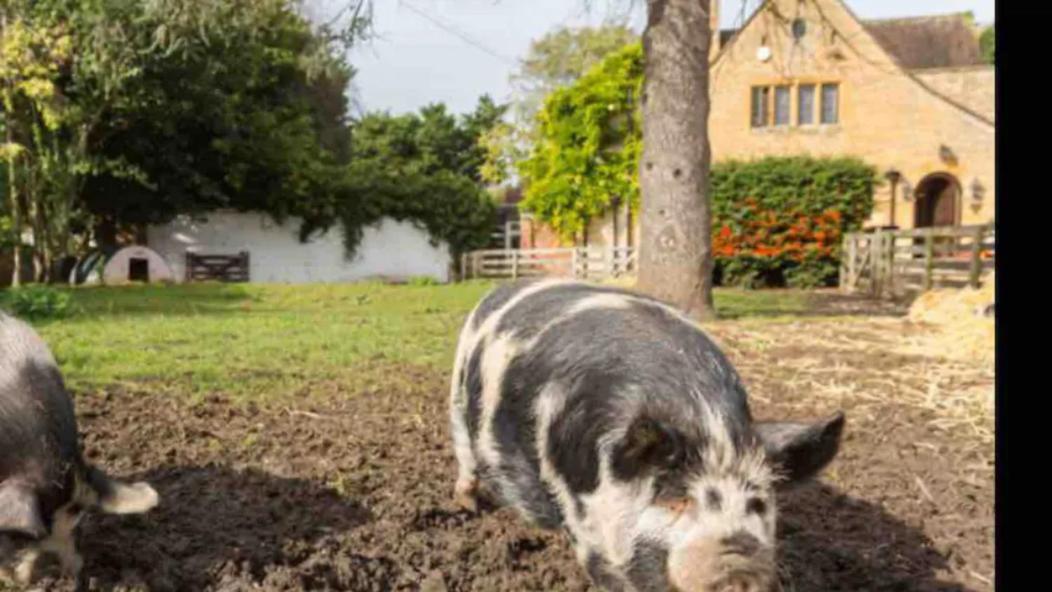 Piglet Cottage Pebworth 외부 사진